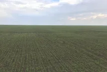 ТОО Андреевка