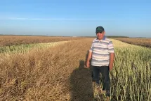 ТОО Оптимум